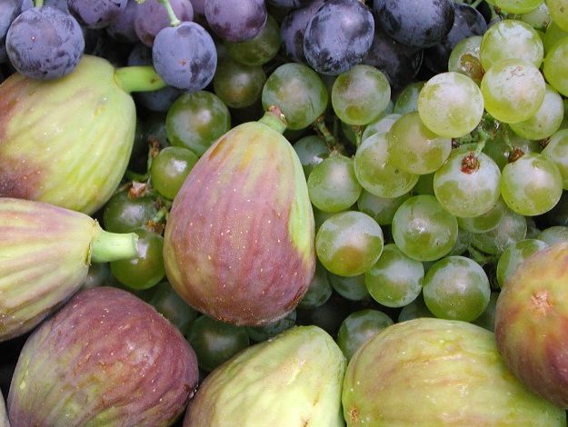 innovazione in agricoltura