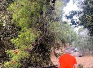 Incendio a Torre Mileto sedato dai Vigili del Fuoco