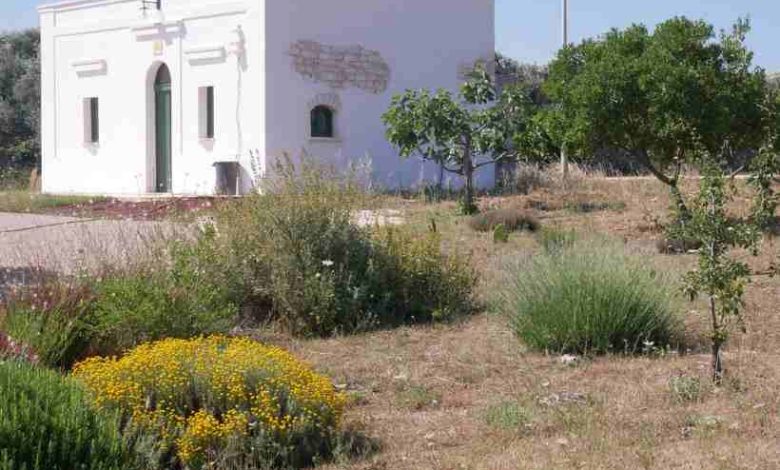 Vivere in Puglia, uno stle di vita. Ceglie Messapica piccola proprietà