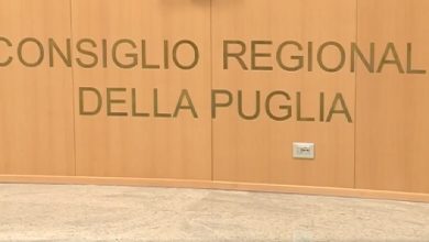Consiglio Regionale Puglia 2025-2030 – Rappresentanza politica