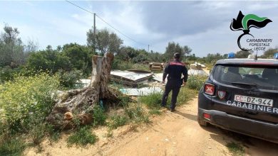 Discarica abusiva Alliste sequestrata dai Carabinieri Forestali in area vincolata