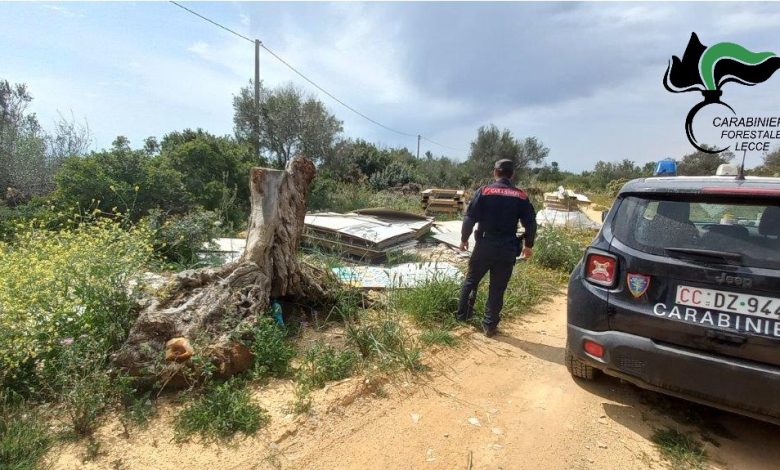 Discarica abusiva Alliste sequestrata dai Carabinieri Forestali in area vincolata