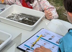 Aumento della biodiversità nel Mar Piccolo di Taranto durante il BioBlitz 2025