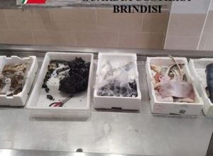 Guardia Costiera durante il controllo che ha portato alla pescheria sanzionata a Brindisi