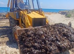 Montagna di alghe a Specchiolla lung
