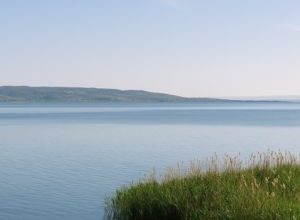 Progetto fotovoltaico sul Lago di Varano, Civica Cagnanese: “Delibera nulla” Cagnano Varano, 27 maggio 2025 – I Consiglieri della Civica Cagnanese hanno chiesto la convocazione urgente del Consiglio Comunale di Cagnano Varano per discutere la revoca della Deliberazione di Giunta n. 32 del 13 maggio 2025. Il provvedimento, secondo i firmatari, è giuridicamente nullo e amministrativamente illegittimo. Oggetto della delibera: un nulla osta preliminare alla valutazione di un impianto fotovoltaico flottante di 400 ettari sul Lago di Varano. Preoccupazioni ambientali sul Lago di Varano Il progetto riguarda l’occupazione di una vasta area del Lago di Varano, combinando produzione di energia solare con attività di molluschicoltura e ossigenazione delle acque. La proposta ha però suscitato allarme tra i consiglieri di opposizione, che ne denunciano i potenziali effetti sull’ecosistema, già fragile, e sui diritti di pesca tradizionali tutelati come usi civici. “È una scelta che compromette il delicato equilibrio ambientale del lago e mette a rischio settori produttivi storici come la pesca”, dichiarano i consiglieri Matteo D'Apolito, Mariella Scanzano e Matteo Lombardi. “Non si può parlare di sviluppo sostenibile senza ascoltare le comunità locali e senza garantire la trasparenza amministrativa”. Accuse di illegittimità e opacità amministrativa Secondo la Civica Cagnanese, la Giunta avrebbe adottato la delibera in violazione dell’art. 42 del D.Lgs. 267/2000, attribuendosi competenze riservate al Consiglio Comunale. A ciò si aggiunge l’impossibilità, per i consiglieri, di accedere alla documentazione citata nell’atto. Una situazione che ha impedito un’adeguata valutazione tecnica e politica dell’iniziativa. La richiesta di revoca è stata inoltrata anche al Prefetto di Foggia, affinché siano tutelati la legalità e i diritti dei cittadini. “È necessario un confronto pubblico e democratico in aula consiliare, per decidere insieme il futuro del nostro territorio”, concludono i rappresentanti della Civica Cagnanese. Per ulteriori informazioni è possibile contattare il consigliere Matteo Lombardi al numero 328 646 3299 o scrivere a stampa.civicacagnanese@gmail.com.