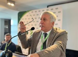 Prezzo del grano in Puglia 2025 come nel 2015, crisi per i produttori locali