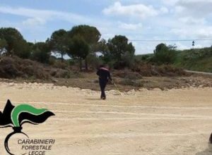 Sequestro strada abusiva Gallipoli zona Punta Pizzo