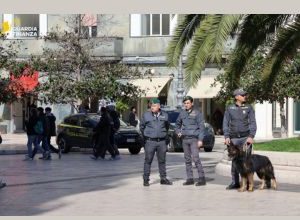 Unità cinofile della Guardia di Finanza durante i sequestri droga Taranto