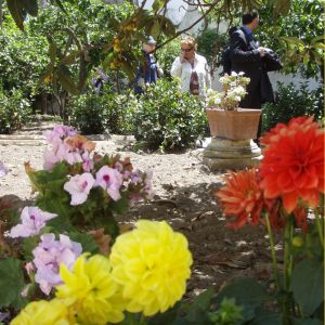 Visitatori esplorano un cortile storico durante Cortili Aperti a Lecce