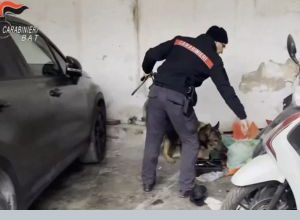 carabinieri eseguono arresto per rapina a mano armata con sequestro tra Andria e Bari