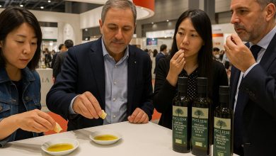 degustazione di olio extravergine di oliva biologico pugliese in Giappone