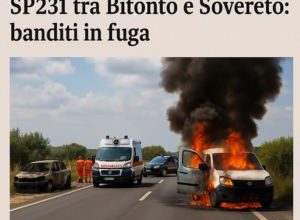 Veicoli incendiati sulla SP231 dopo assalto a portavalori tra Bitonto e Sovereto
