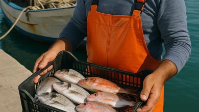 pescatore pugliese con pesce fresco a km 0 pronto per la vendita durante festività