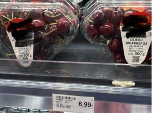 produzione di ciliegie in Puglia colpita dalle gelate primaverili