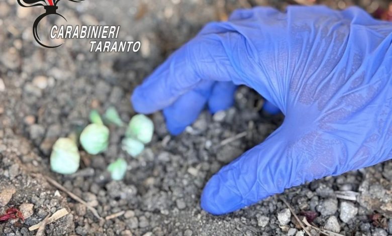 Carabinieri in intervento per spaccio di droga a Talsano
