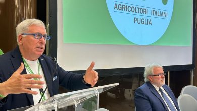 Emendamenti energia rinnovabile presentati da CIA Puglia a Bari il 9 giugno