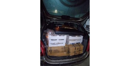 Guardia Costiera sequestra pesce senza tracciabilità a Barletta durante controllo notturno