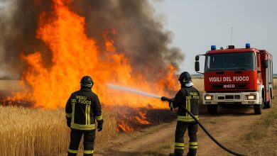 Vigili del Fuoco domano un incendio campo di grano Foggia