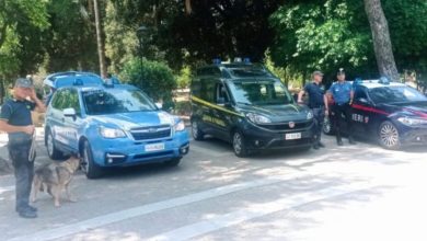 controlli interforze a Lecce con unità cinofile in azione