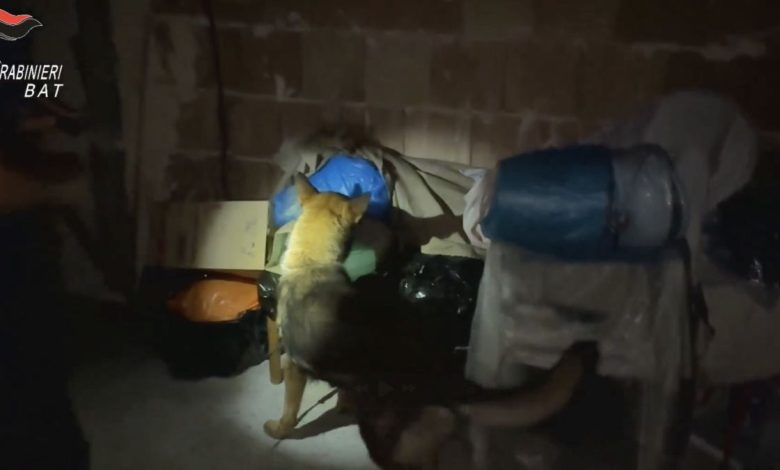 Carabinieri in azione durante un’operazione per tentato omicidio e armi clandestine