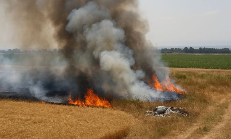 Incendi Capitanata con fumo denso nei campi agricoli a causa di rifiuti abbandonati