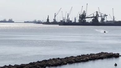 Operazioni di ricerca dei dispersi in mare coordinate dalla Capitaneria di Porto