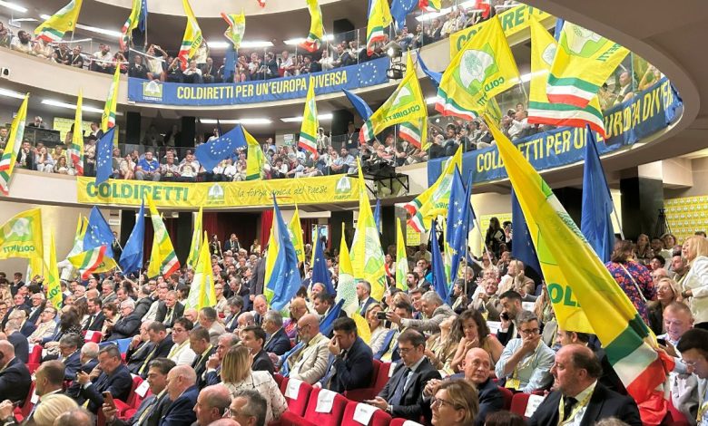 agricoltori pugliesi colpiti dal taglio PAC 2028-2034 durante la raccolta