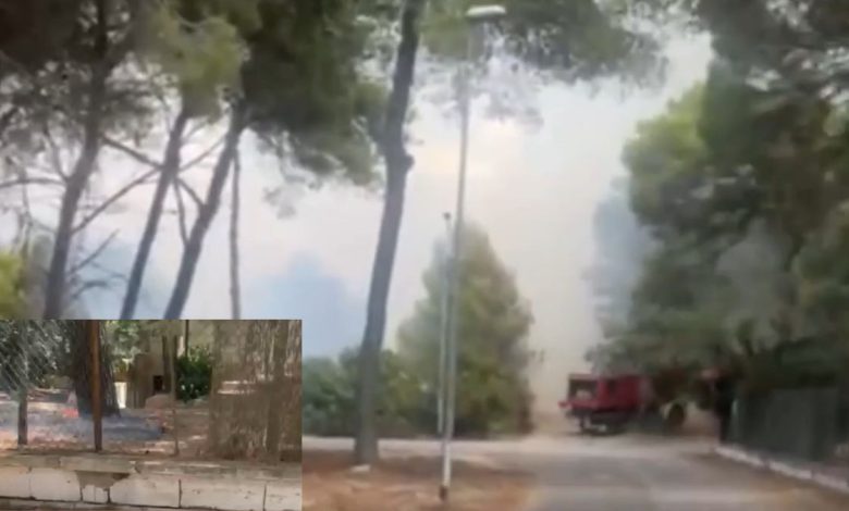 mmagine di repertorio: incendio a Lido Silvana, canadair in volo