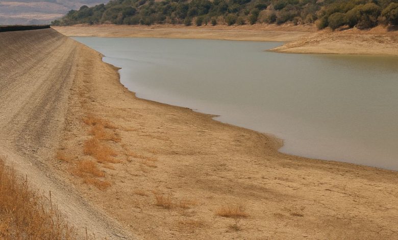 invasi semi-vuoti a causa della siccità in Capitanata