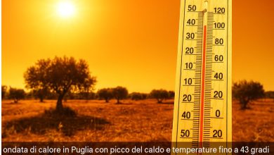 ondata di calore in Puglia con picco del caldo e temperature fino a 43 gradi
