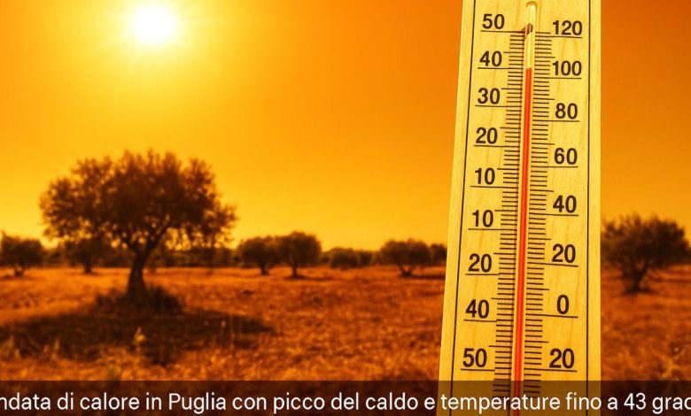 ondata di calore in Puglia con picco del caldo e temperature fino a 43 gradi