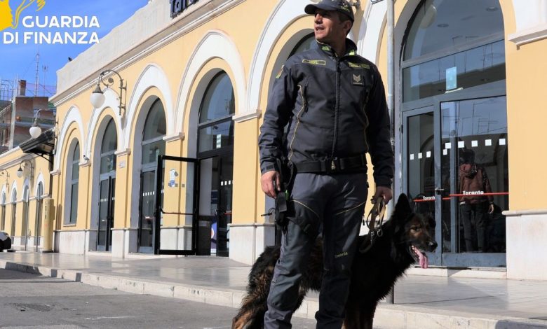 Unità cinofila Guardia di Finanza Taranto durante sequestro di droga