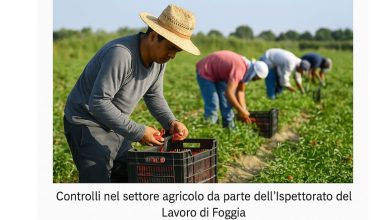 Controlli ITL Foggia contro il lavoro nero in agricoltura