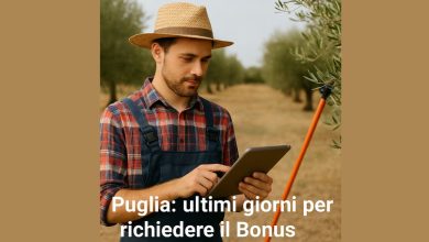 Giovane agricoltore in Puglia che richiede il Bonus Agricoltori 2025