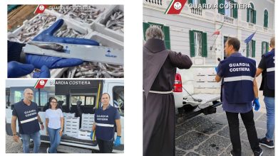 Guardia Costiera sequestra prodotto ittico sotto misura a Brindisi