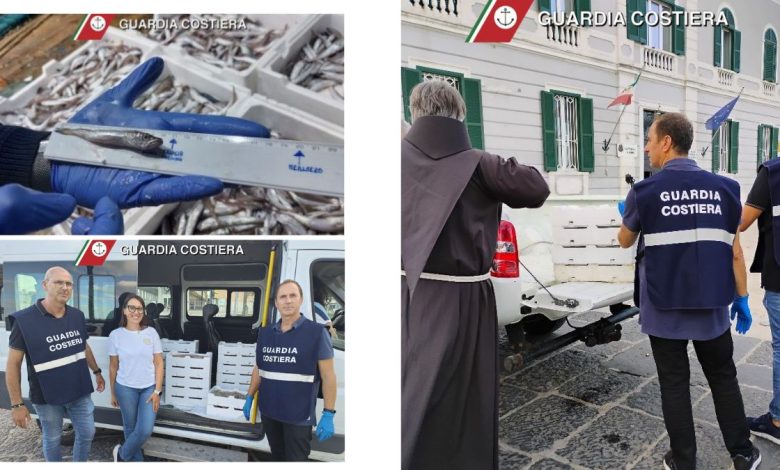 Guardia Costiera sequestra prodotto ittico sotto misura a Brindisi