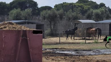 contrasto ai reati nelle aree paesaggistiche a San Cataldo