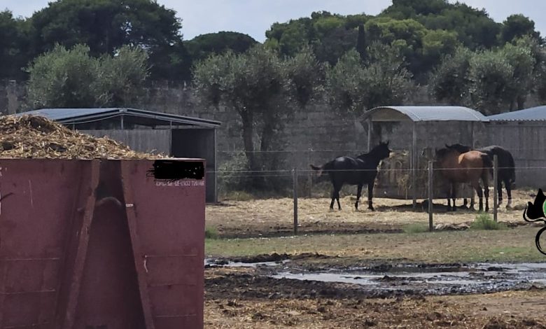 contrasto ai reati nelle aree paesaggistiche a San Cataldo