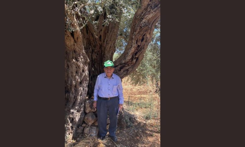 Premio Ravanas Bitonto oliveti della Palestina e della Puglia