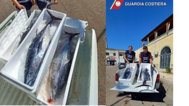 Sequestro tonno rosso Guardia Costiera a Lecce