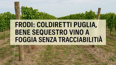 Sequestro vino senza tracciabilità a Foggia durante la vendemmia 2025