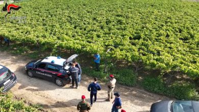 controlli sul lavoro in nero in campagna a San Ferdinando e Trinitapoli