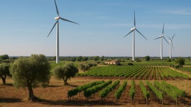 eolico in Puglia e impatto su agricoltura e paesaggio rurale