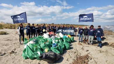 Volontari Plastic Free in Puglia plastica rimossa dalle spiagge
