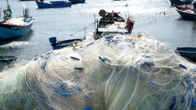 Guardia di Finanza ferma peschereccio a Otranto per pesca in zona vietata