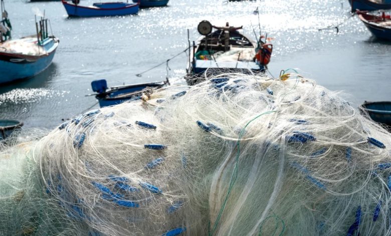 Guardia di Finanza ferma peschereccio a Otranto per pesca in zona vietata