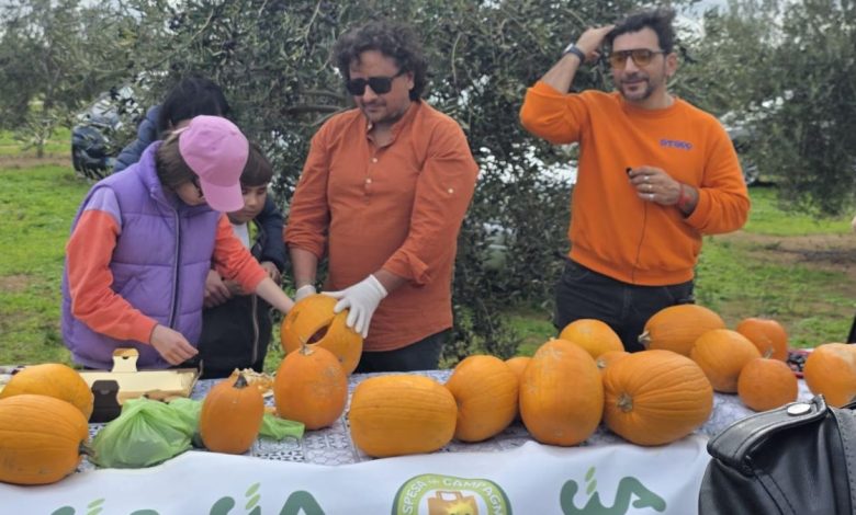 La Spesa in Campagna Lecce – raccolta olive e laboratori sulle tipicità del Salento