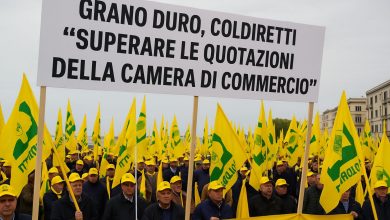 Manifestazione Coldiretti Puglia sul grano duro e quotazioni Camera di Commercio