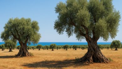 Parco Dune Costiere riconosciuto per il turismo sostenibile in Puglia.